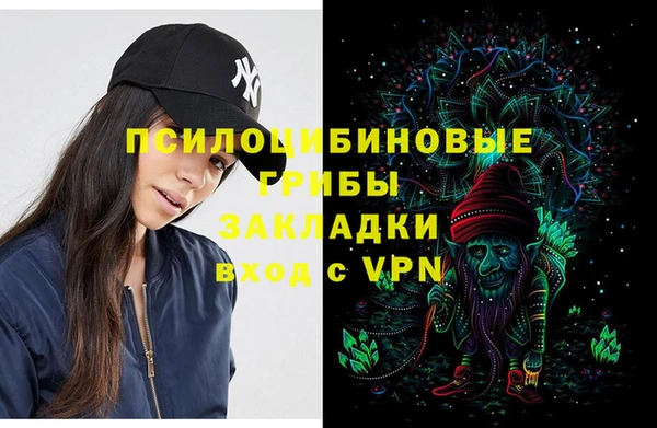 марки lsd Абаза