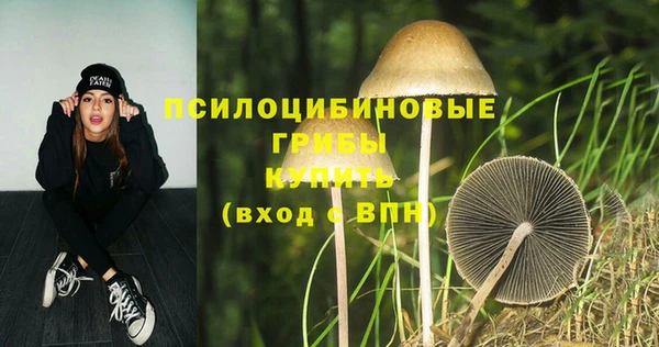 марки lsd Абаза