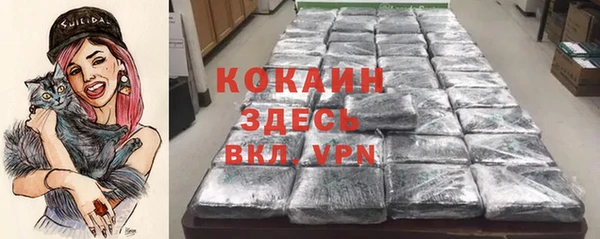 крисы Абдулино