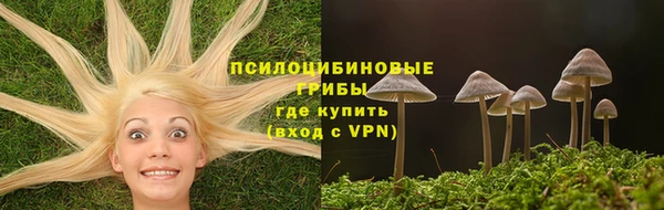 марки lsd Абаза