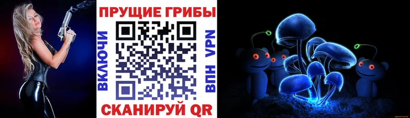 хочу наркоту  Дрезна  Галлюциногенные грибы прущие грибы 
